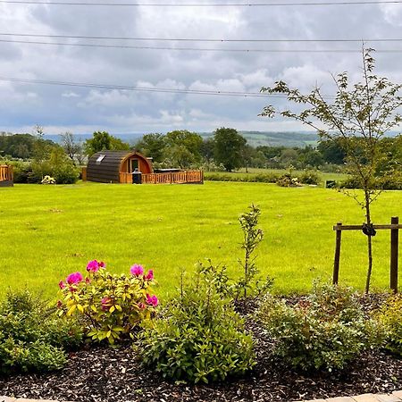 Cairnfold Cabins Kilsyth Экстерьер фото